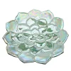 Succulent Salad Plate